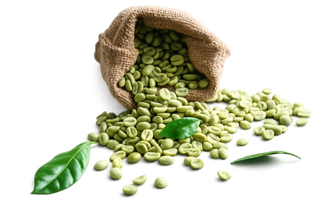 Home granos de café verde derramados